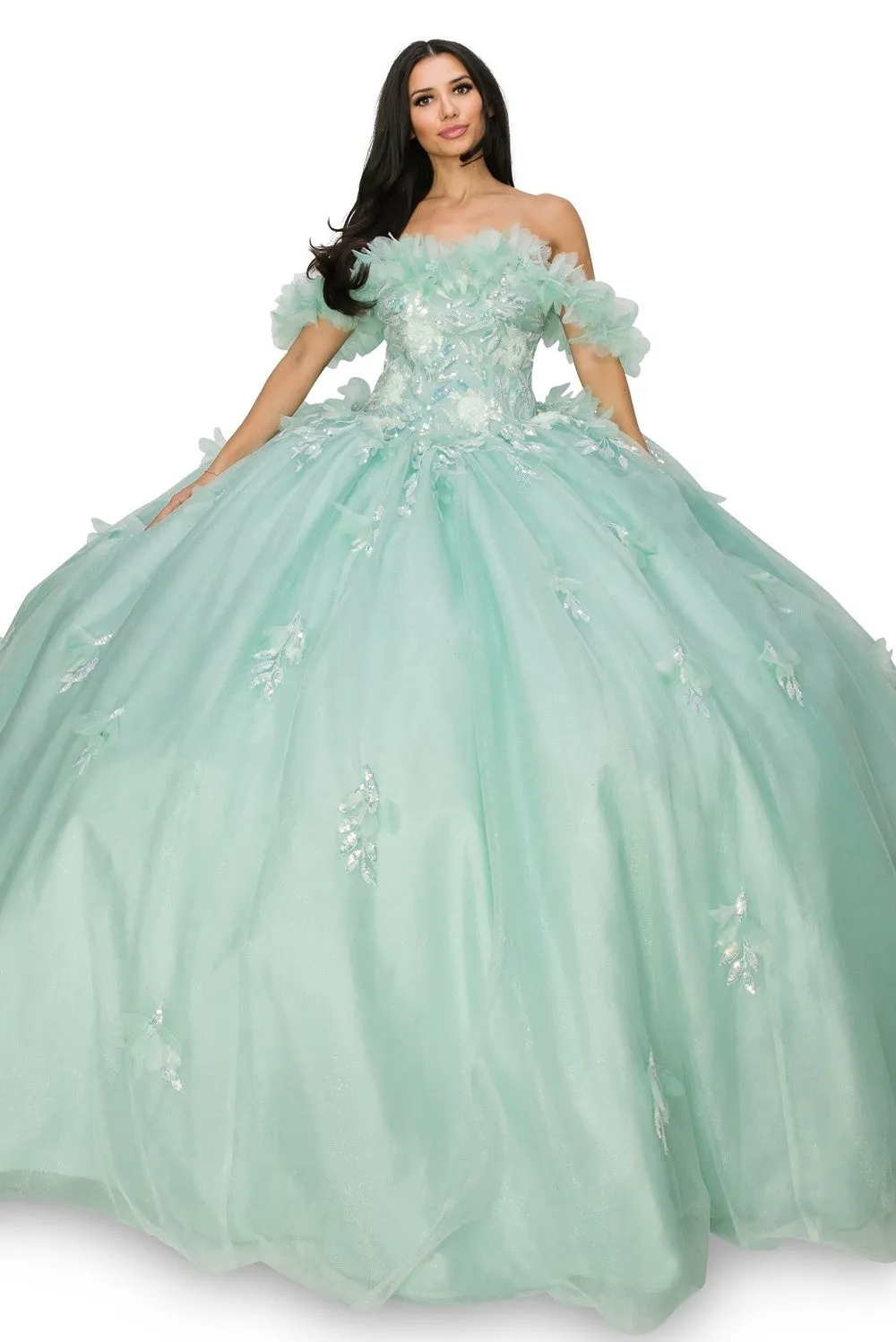 Floral Off Shoulder Illusion Sweetheart Long Quinceanera Dress